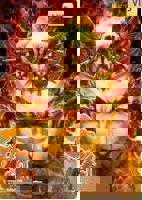 动漫《西行纪2022》免费观看完整版高清全集在线播放