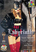 法国《性迷宫》电影完整版免费在线观看