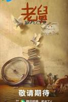 老舅电视剧免费观看全集完整版 