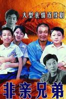 《非亲兄弟》电视剧全集免费在线观看完整版高清播放