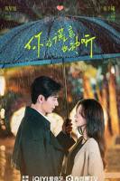 《你的谎言也动听》 电视剧全集免费在线观看高清完整版