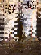 播放《百妖谱·京师篇》第1集全集未删减在线观看