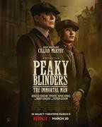 美剧《浴血黑帮：不朽传奇》电视剧完整版全集免费在线观看