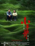 《小草青青》第02集云播资源完整版免费在线观看全集