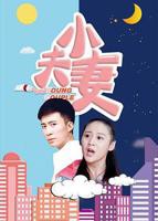 《小夫妻》在线观看免费版电视剧